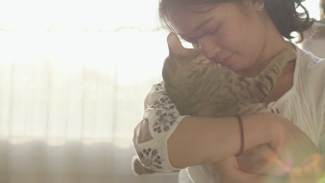 Honoring Your Beloved Pets: Santa Clarita Pet Cremation's Compassionate Service Across Southern California