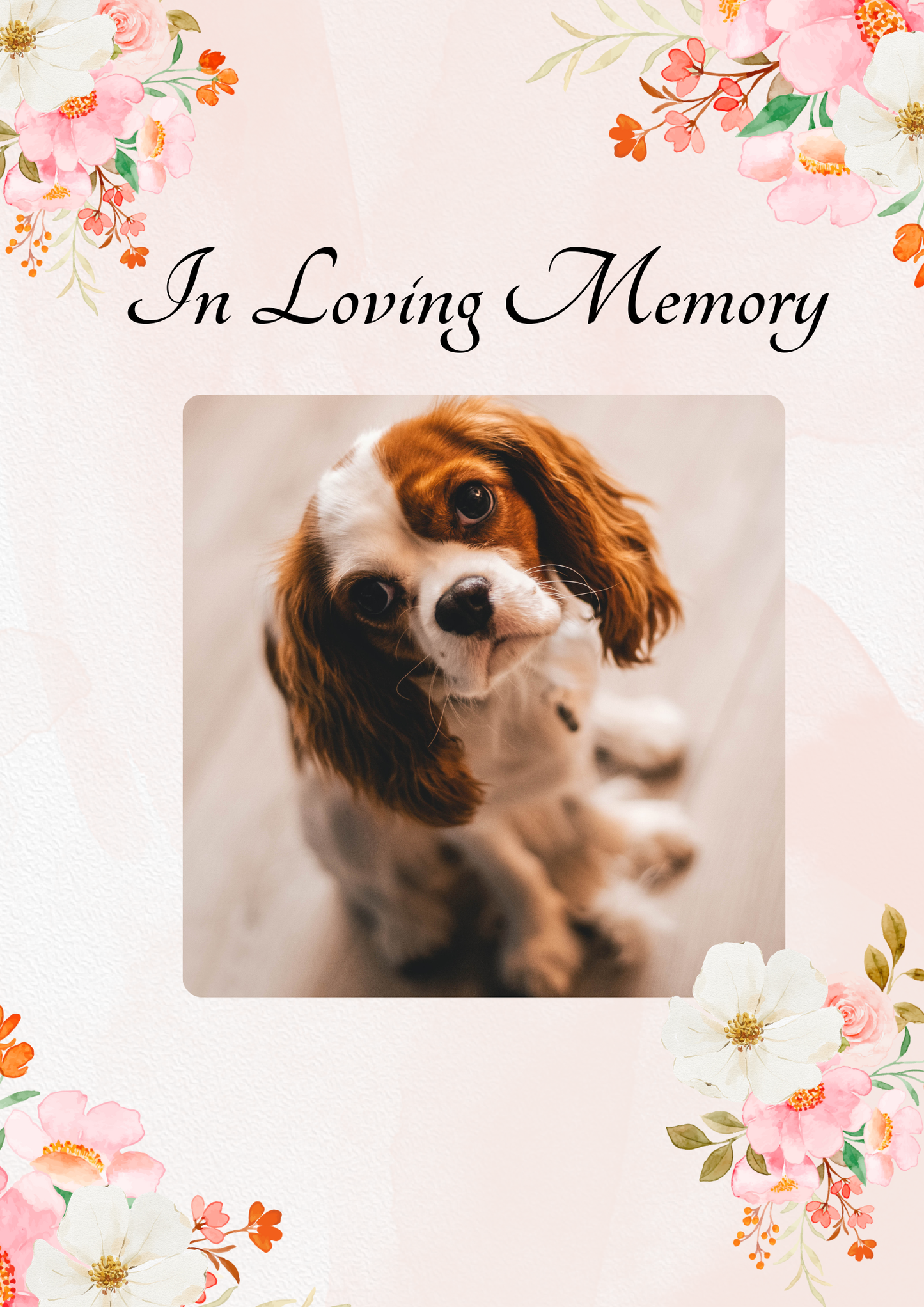 Pawprints of Love - Memorial Service Package