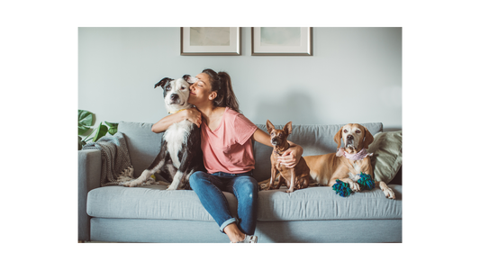 Pawsitively Remembered: Celebrating the Lives of Our Furry Friends