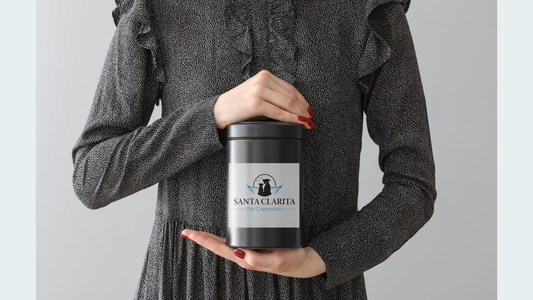 Introducing Our New Contactless Pick-Up Option for Your Pet's Urn: Providing Comfort and Convenience