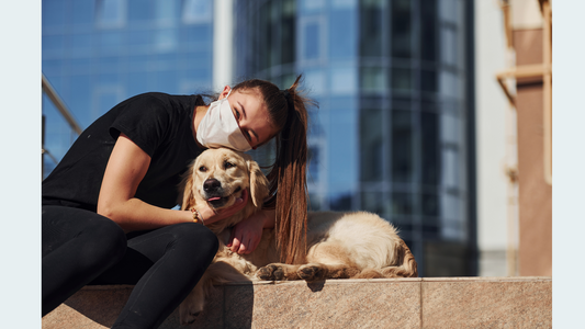 National Rescue Day: Finding Healing and Hope Through Pet Adoption
