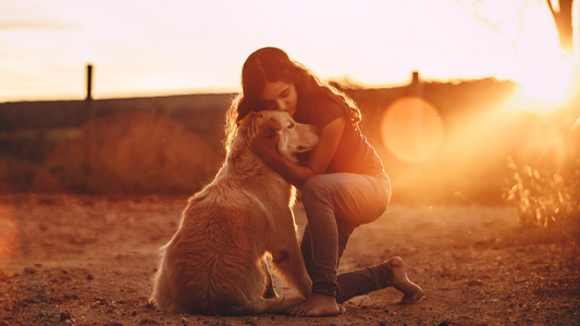 Remembering Our Beloved Pets
