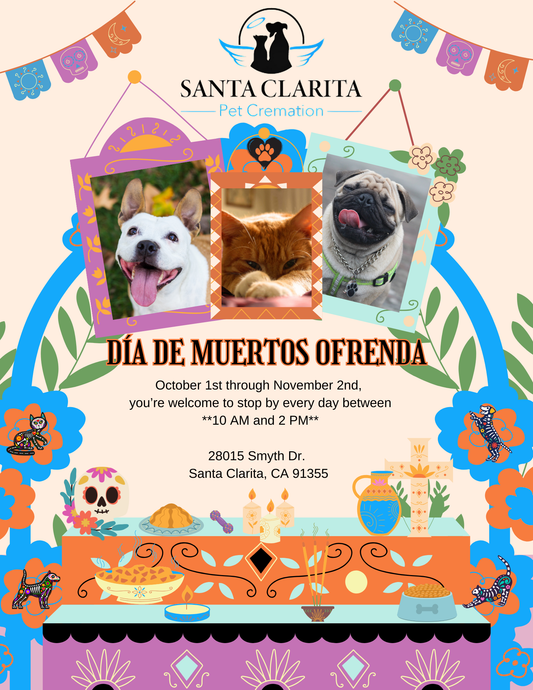 Santa Clarita Pet Cremation Honoring Our Pets This Dia de los Muertos